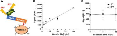Detection of natural autoimmunity to ghrelin in diabetes mellitus